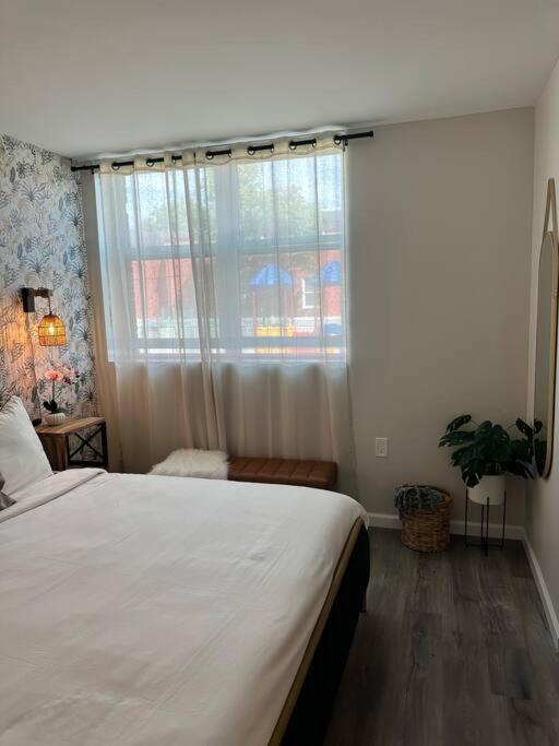 Home Haven, Walk To Little Italy & Wooster Square New Haven Esterno foto